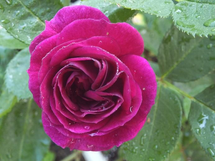  photo ebbtide_zpsa0eb0d30.jpg